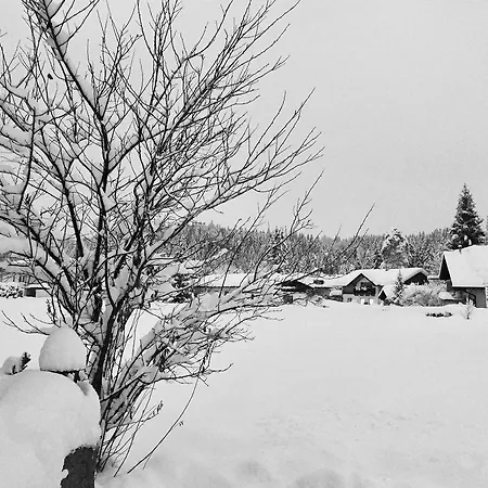 Apartment Haus Seeblick *