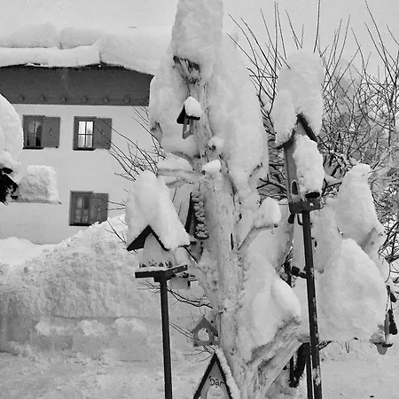 Haus Seeblick Apartment