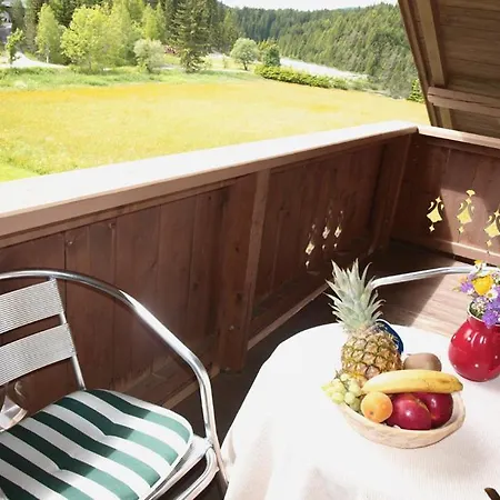 Apartment Haus Seeblick Leutasch